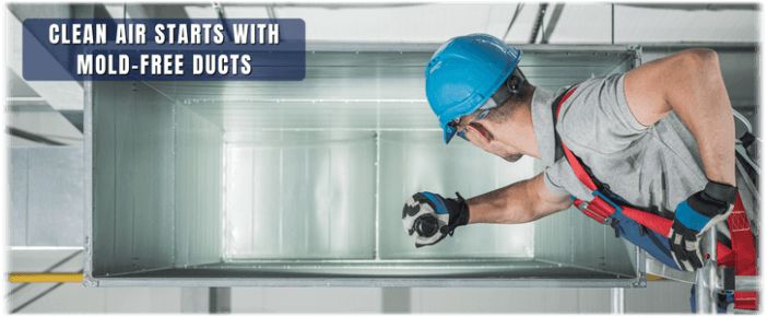 Air Duct Mold Removal in Palm Springs CA