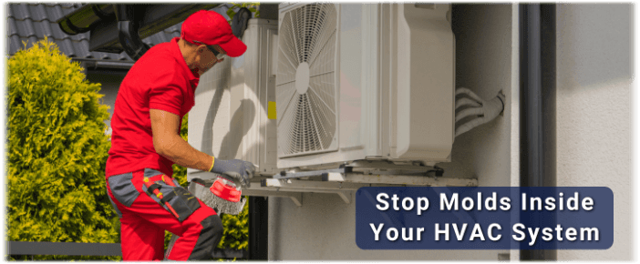 HVAC Mold Removal Palm Springs CA